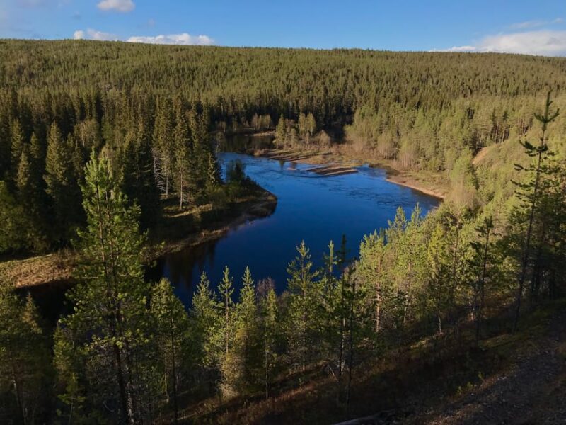 Rovaniemi: All-Day Canoe Adventure - Preparation and Requirements