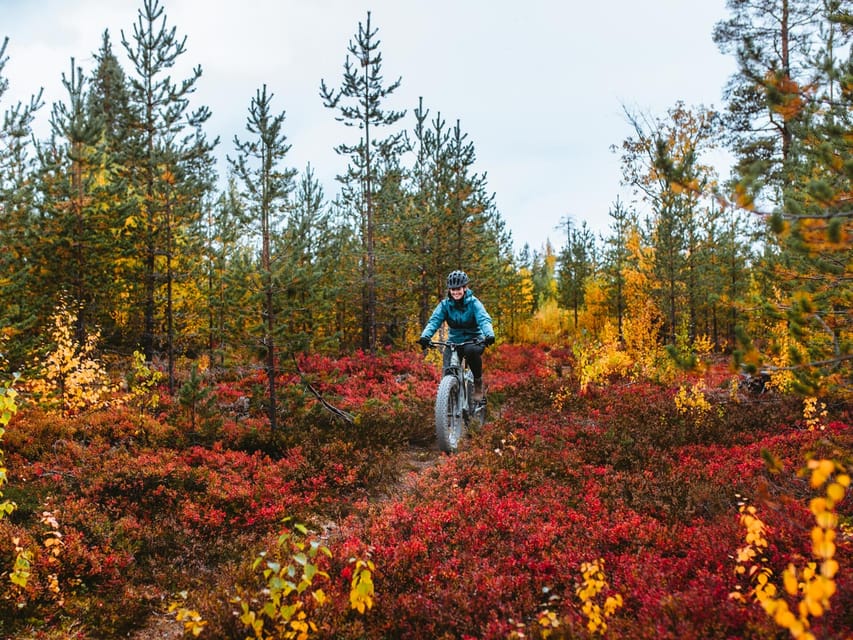 Rovaniemi: Arctic Wilderness & Forests Guided E-Bike Tour - Participant Requirements