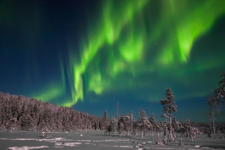 Rovaniemi: Aurora Borealis and Picnic - Essential Tour Guidelines