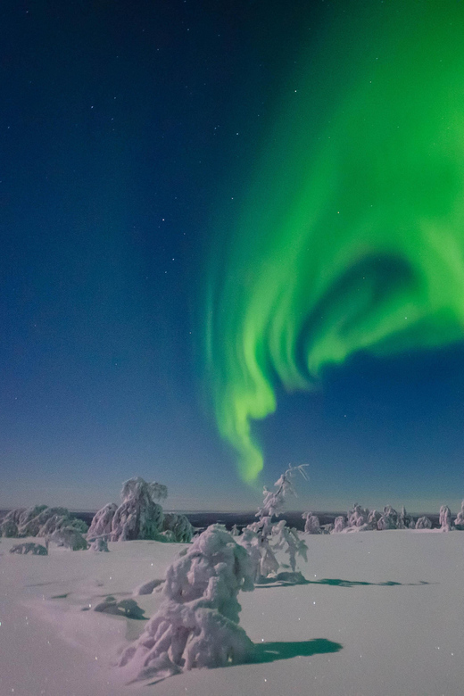 Rovaniemi: Aurora Guarantee Photography Tour (Small Group) - Guidance and Support