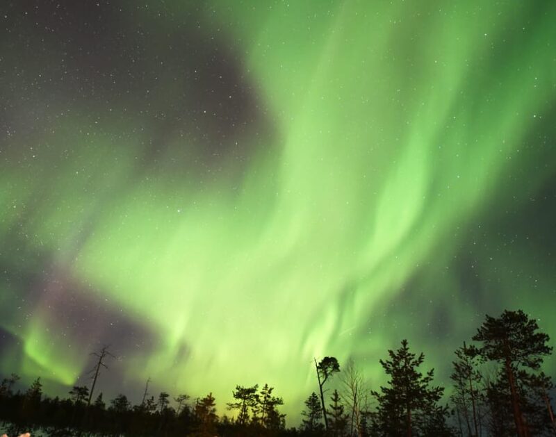 Rovaniemi: Aurora Hunting Tour - What to Expect