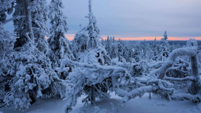 Rovaniemi: Auttiköngäs Winter Wilderness Hike & BBQ - What to Expect on the Hike