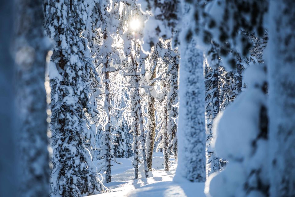 Rovaniemi: Backcountry Skiing Adventure - What to Expect