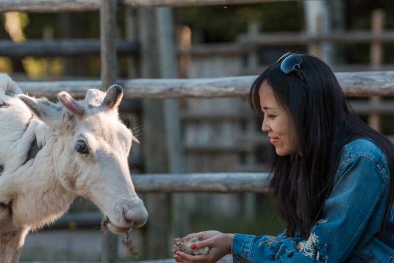 Rovaniemi: Day Trip to Reindeer Farm and Santa Claus Village - Meet Santa Claus