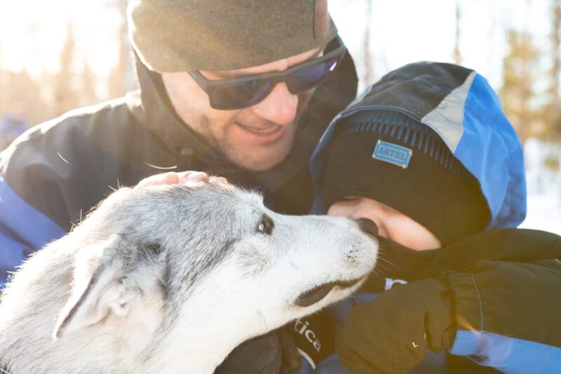 Rovaniemi: Daytime Husky Safari - What to Expect