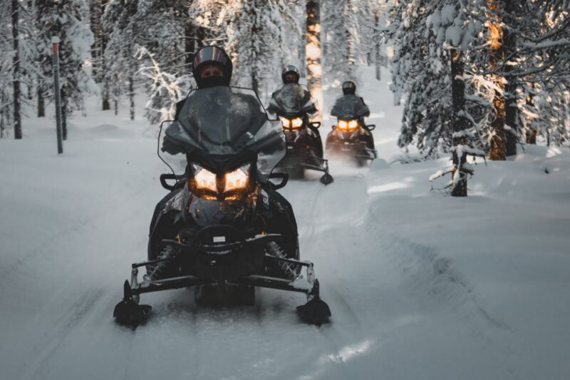 Rovaniemi: Electric Snowmobile Safari to Arctic Wilderness - Booking and Cancellation Policy