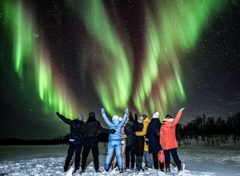 Rovaniemi: Family Friendly Northern Lights Experience W/Bbq - Inclusions of the Tour