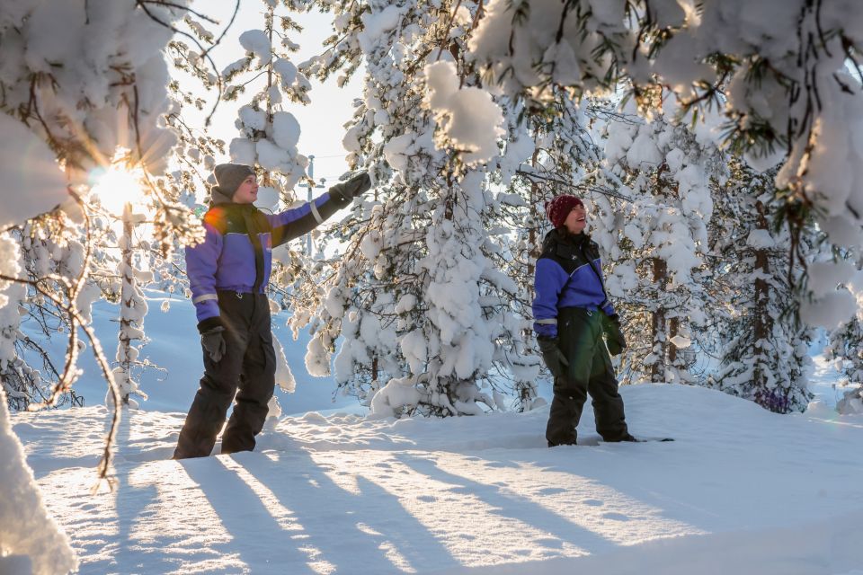 Rovaniemi: Guided Lappish Wilderness Snowshoeing Adventure - Wildlife Spotting Opportunities