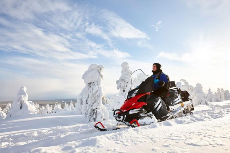 Rovaniemi: Guided Wilderness Snowmobile Ride - Important Information