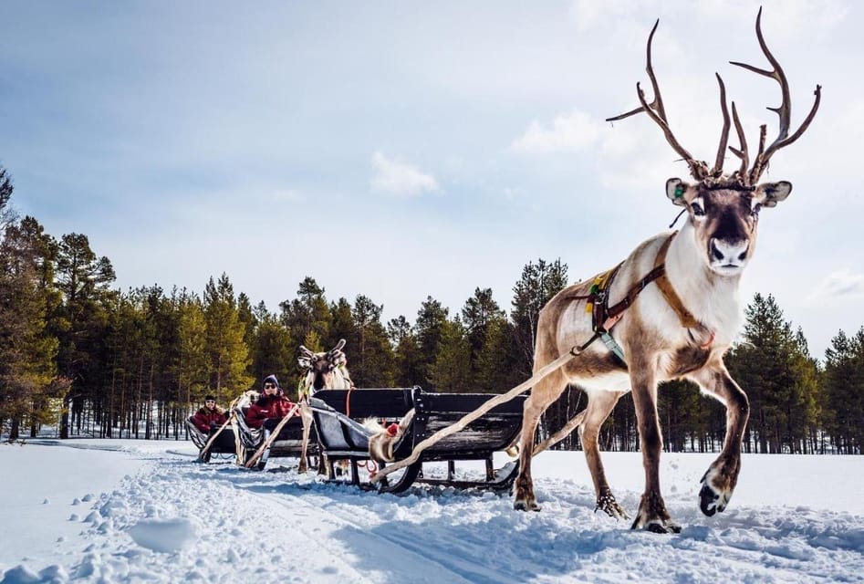 Rovaniemi Highlight Husky, Reindeers Sledge Ride Santa Claus - Tour Inclusions Overview