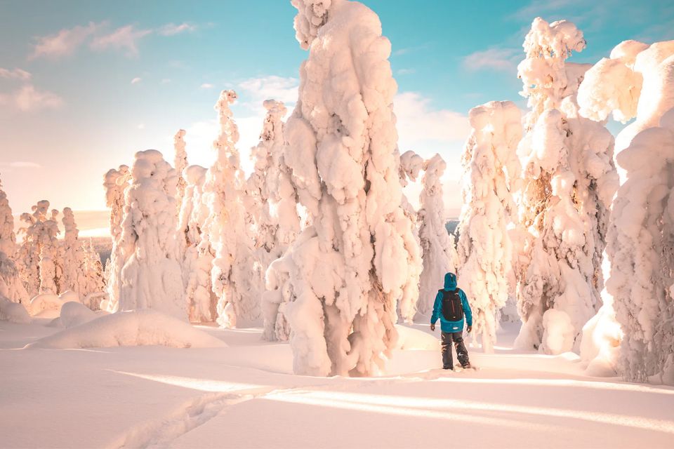 Rovaniemi: Hiking and Snowshoeing Adventure in Lapland - What to Expect During the Tour