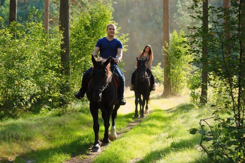 Rovaniemi: Horse Riding in Arctic Wilderness - What to Bring and Wear