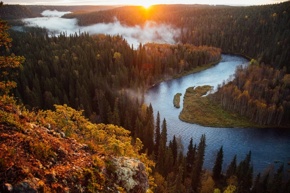 Rovaniemi: Magical Forest Hiking Adventure Tour & BBQ - Important Information