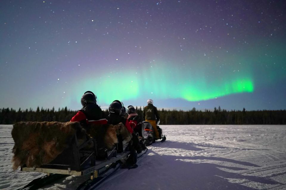 Rovaniemi: Northern Lights Sleigh Ride - Customer Ratings and Feedback