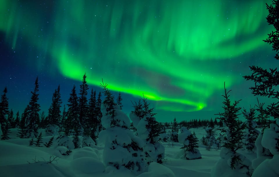 Rovaniemi: Private Aurora Hunting Tour With Meal - Clothing Recommendations