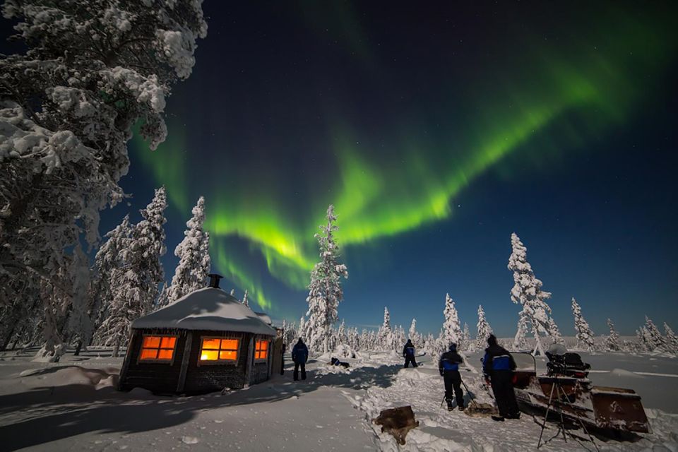 Rovaniemi: Private Forest Sauna and Northern Lights Tour - Important Tour Information