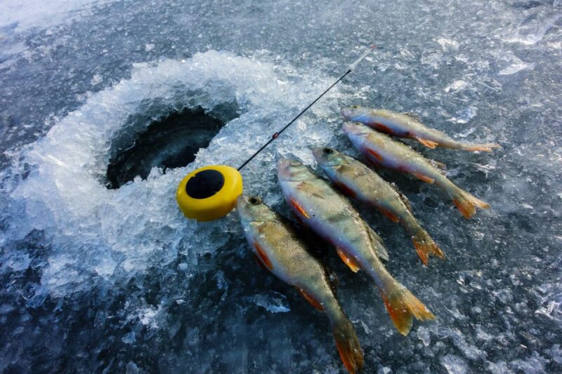 Rovaniemi: Quad Bike Ride and Ice Fishing - Participant Requirements