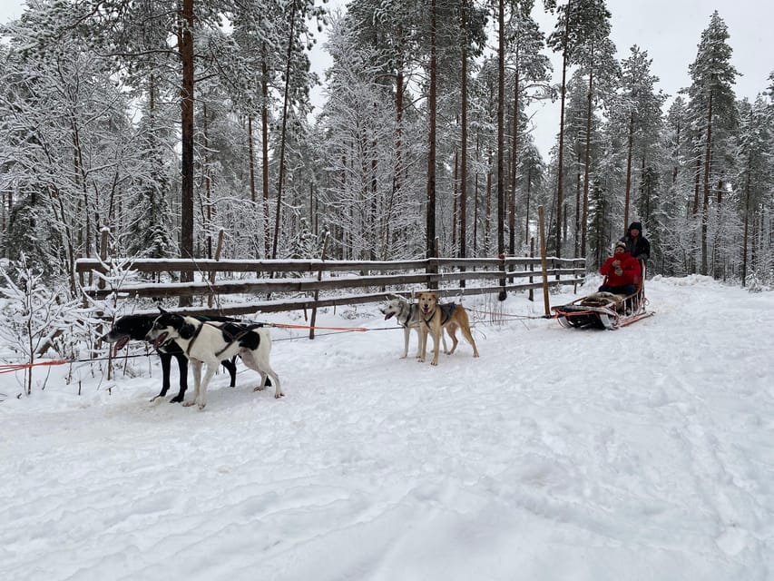 Rovaniemi: Santa Claus Village Tour Huskies & Reindeer Ride - Activity Details