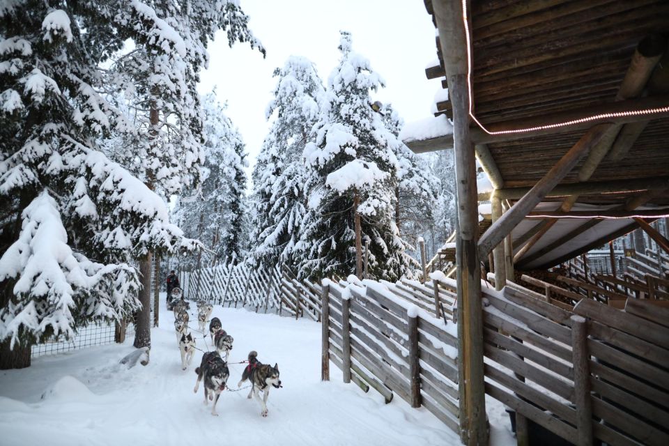 Rovaniemi: Santa Claus Village Tour & Reindeer & Husky Ride - Experience Details