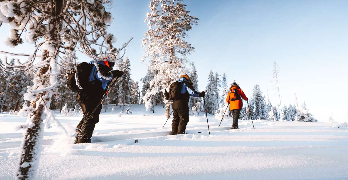 Rovaniemi: Ski Trekking Safari in Lapland - Safety Guidelines and Recommendations