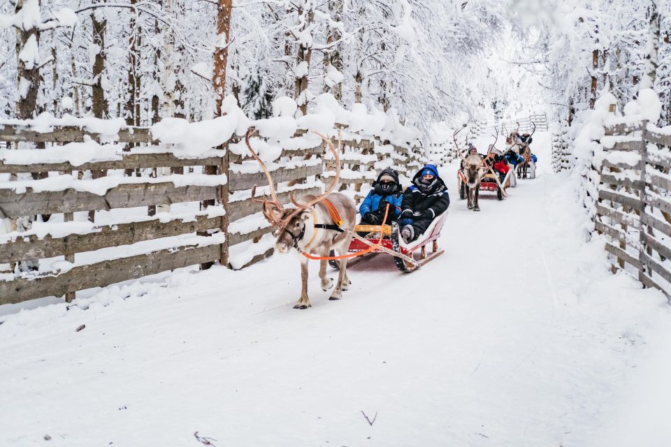 Rovaniemi: Snowmobile Safari, Reindeer & Husky Sleigh Ride - What to Pack