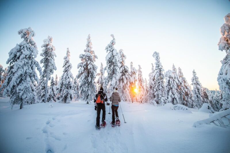 Rovaniemi: Snowshoe Wilderness Adventure - Customer Reviews and Ratings