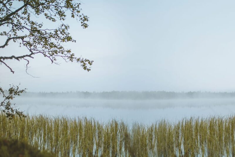 Rovaniemi : Trekking in the Heart of Nature - Experience and Highlights