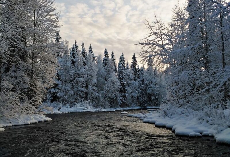 Rovaniemi: Vaattunki Hiking Arctic Circle Trail - Accessibility for All Participants