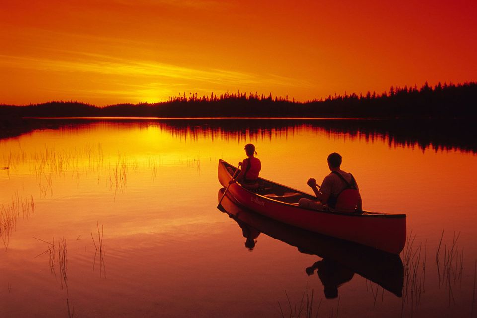 Rovaniemi: Wilderness Kayaking Adventure Trip With Hot Drink - Customer Ratings and Feedback