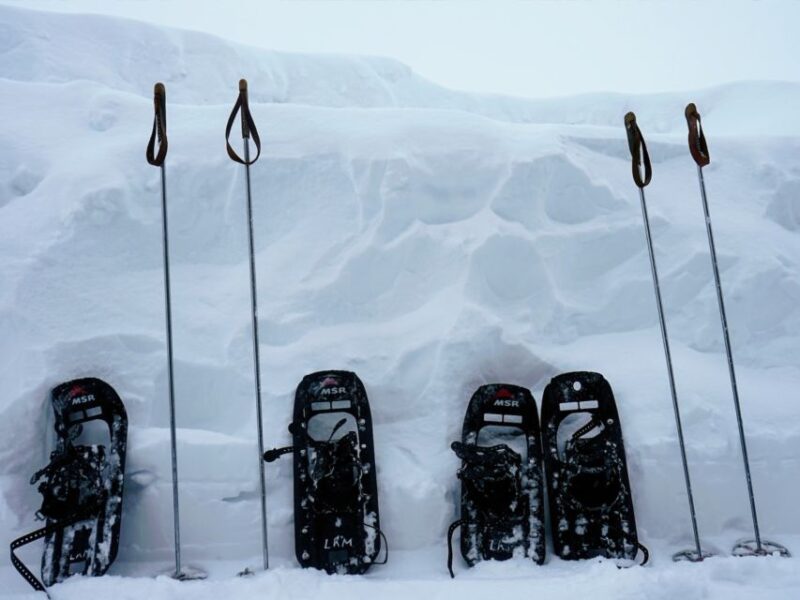 Rovaniemi: Wilderness Snowshoes Expedition Tour & Barbeque - Booking Your Adventure