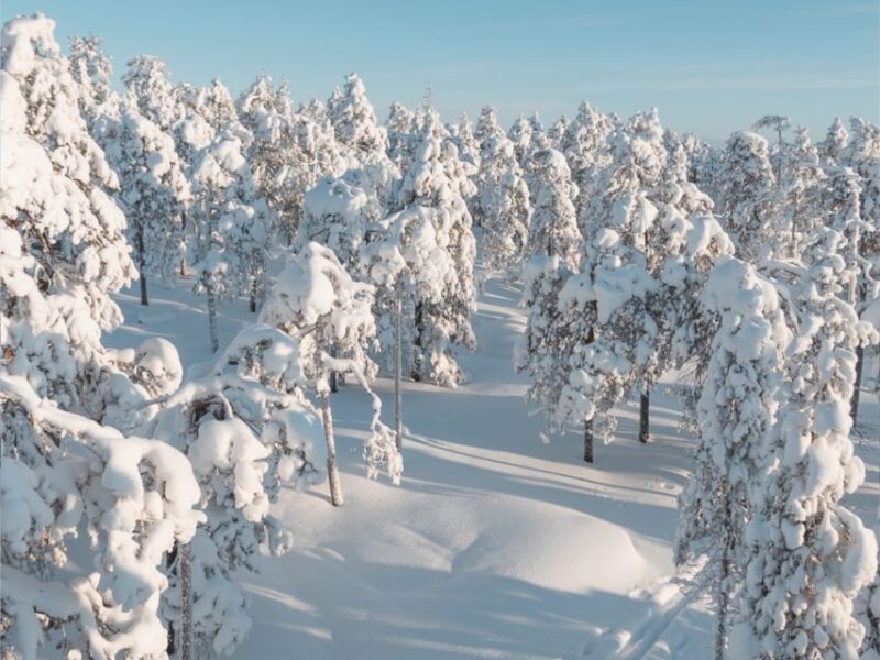 Rovaniemi: Winter Wonderland Vikaköngäs Hike & Barbeque - Customer Experiences and Feedback