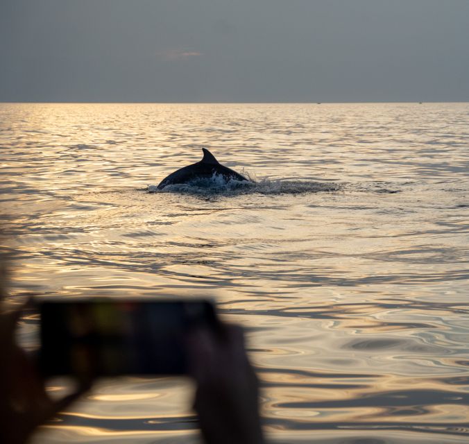 Rovinj: Dolphin Watching Sunset Speedboat Trip With Drinks - Tour Itinerary and Locations