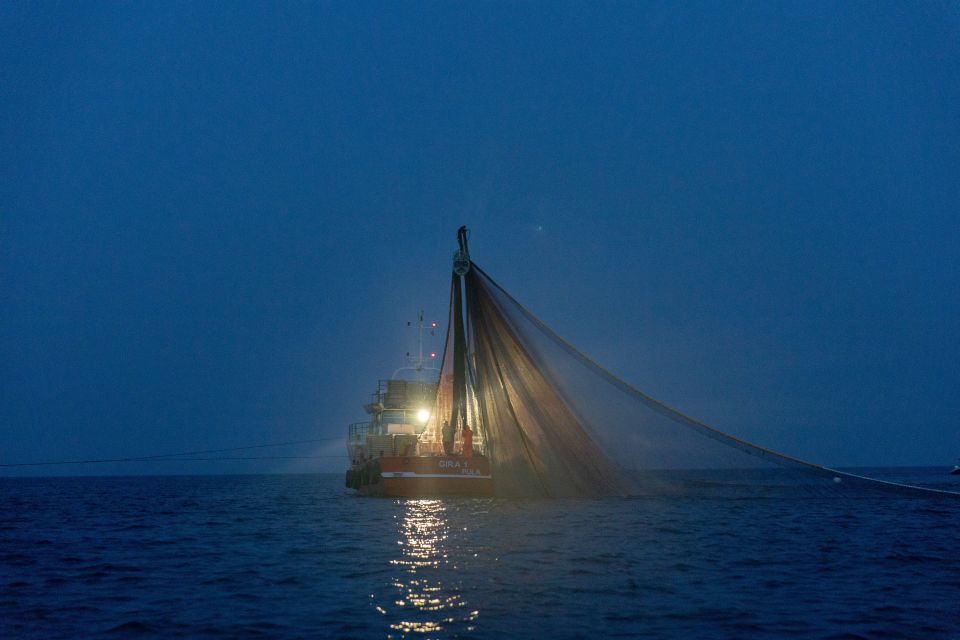 Rovinj: Sunrise Dolphins & Fishermen at Work Speedboat Tour - Important Information