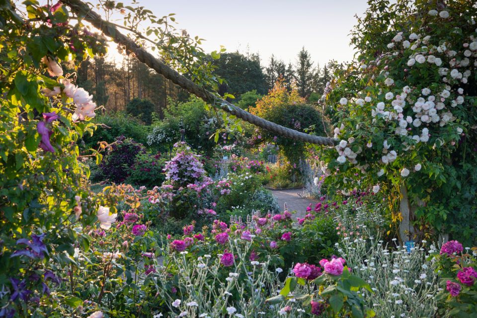 Royal Horticultural Society: Rosemoor Garden Ticket - Visitor Guidelines and Recommendations