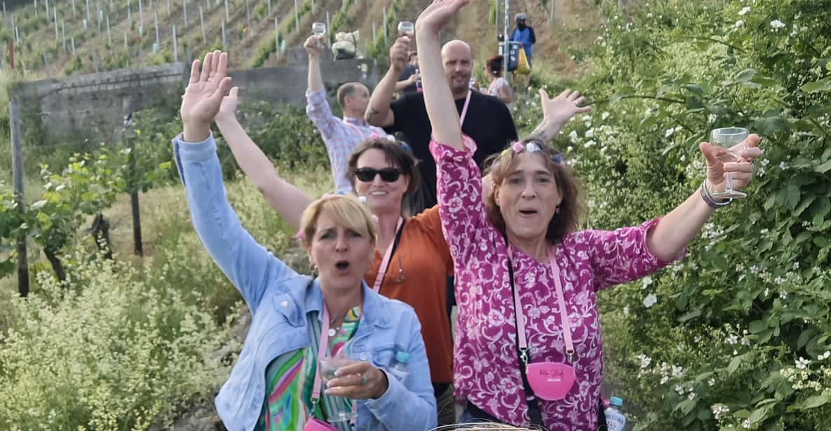 Rüdesheim: Wine Hike the Golden Twenties Meets Wine - Group and Participation Details