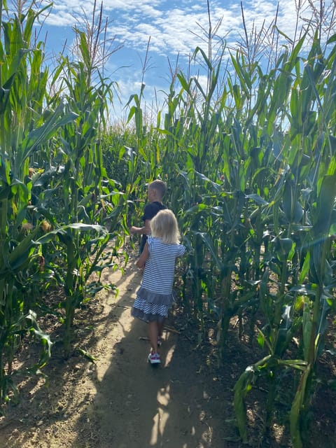 Rügen: Largest Corn Maze on the Island - Booking Information