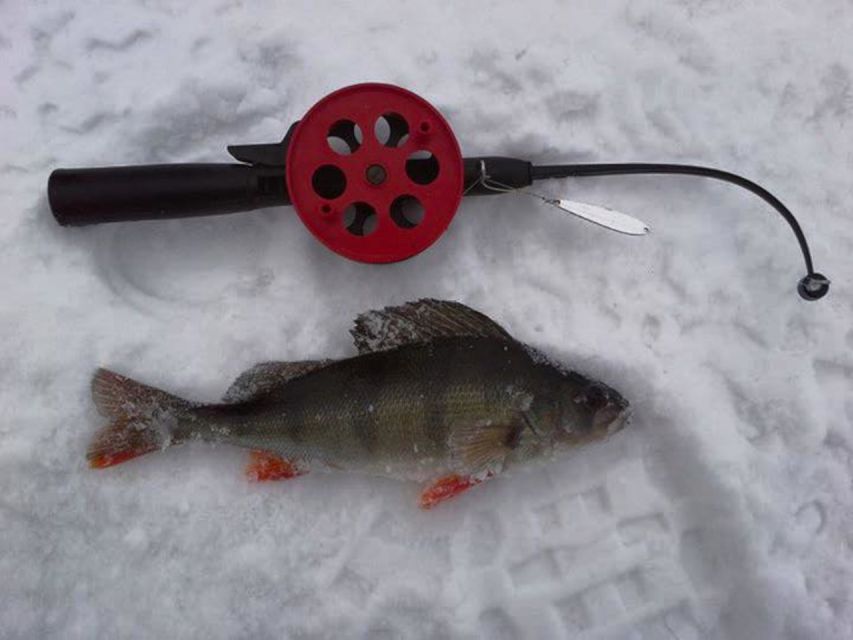 Ruka: Ice Fishing Trip - Participant Age Requirements