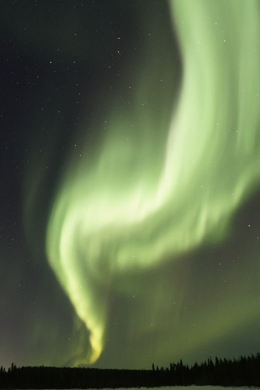 Saariselkä: Aurora Photo Tour by Car With Transfer & Drinks - Important Considerations