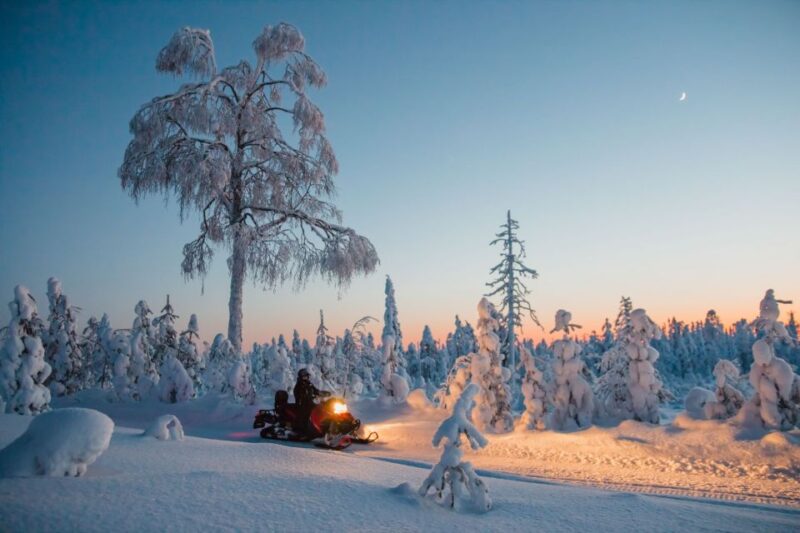 Saariselkä/Inari: Evening Snowmobile Tour With Fire & Dinner - What to Expect