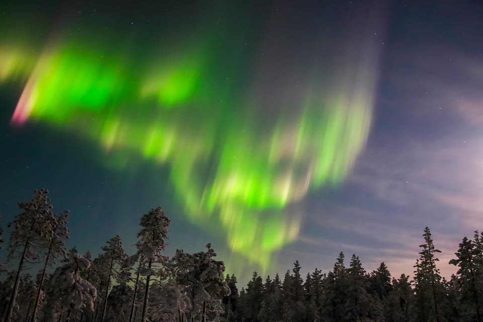 Saariselkä: Northern Lights Hunting Snowshoe Trip - Customer Ratings and Feedback