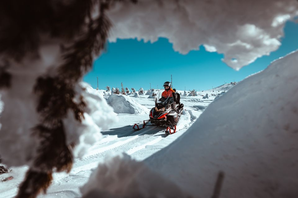 Saariselkä: Snowmobile Adventure for Adults - Tips for Your Trip