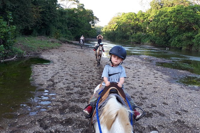 Safari Horse Riding Tour - Exploring the Jungle and Wildlife