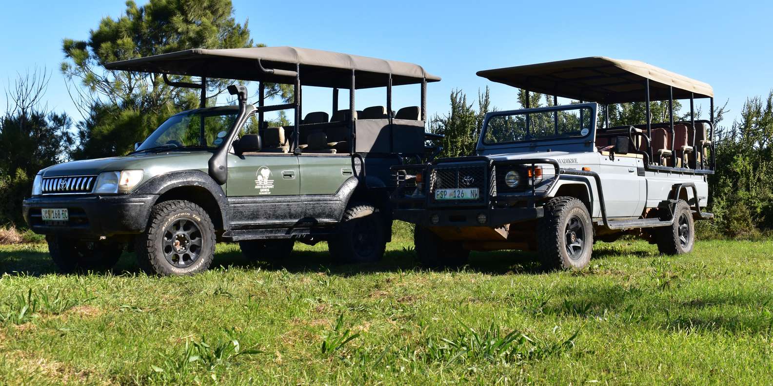 Safari Into Schotia Full Day Tour - What to Bring and Restrictions