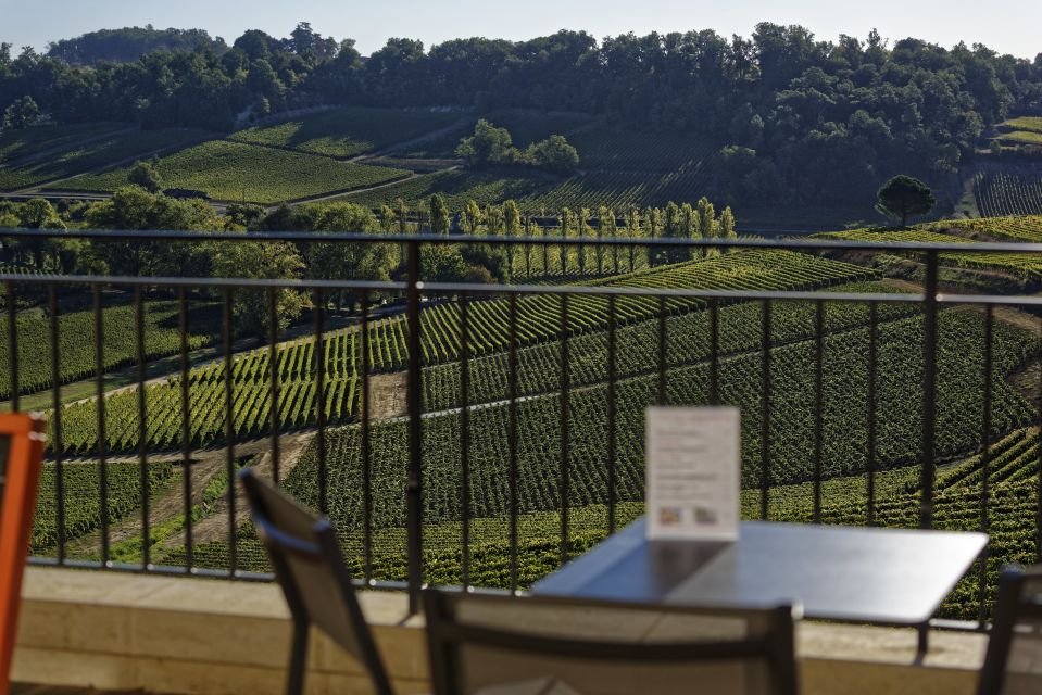 Saint-Emilion: Grand Cru Classé Gourmet Visit - Customer Feedback