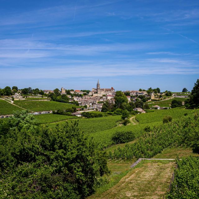 Saint Emilion Half Day Ebike and Wine Tour With Picnic - Inclusions