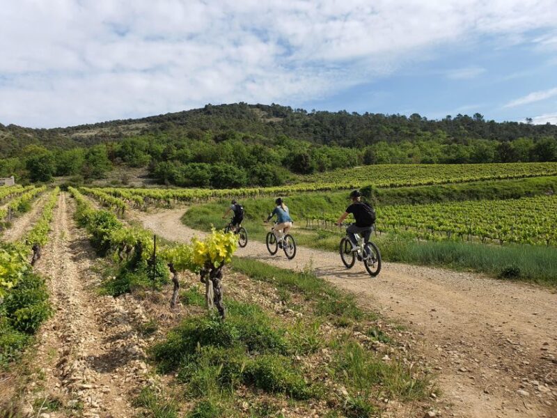 Saint-Martin-dArdèche: Electric Bike Wine Tour & Tasting - Tasting Local Organic Wines