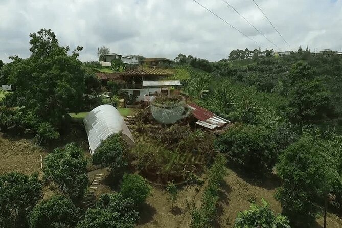 Salento and Cócora Tour Plus Coffee Farm From Pereira or Armenia - Inclusions