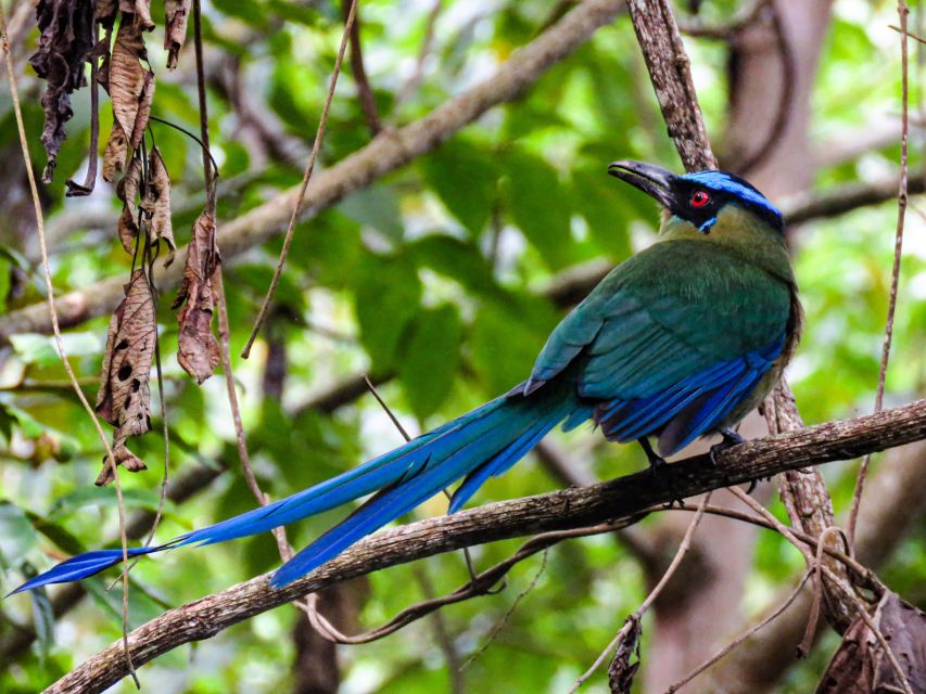 Salento: Birding Routes of the Raptors - Customer Testimonials