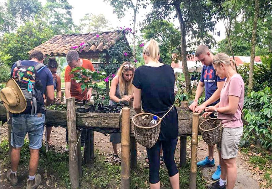 Salento: Coffee Tour at Finca El Ocaso - Inclusions for Participants