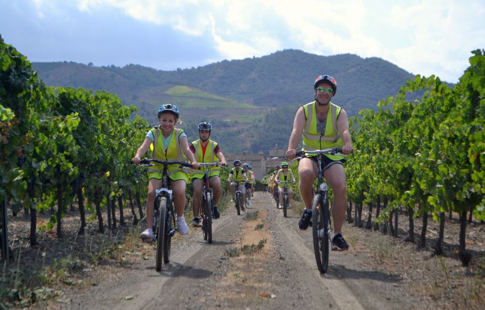 Salou: Bike Tour With Wine Tasting - Visiting the Family Winery